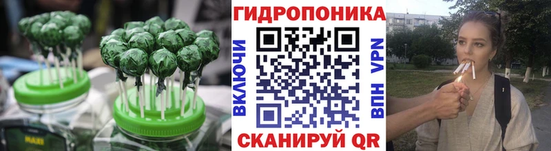 гидра ТОР где найти Камышин Печенье с ТГК марихуана