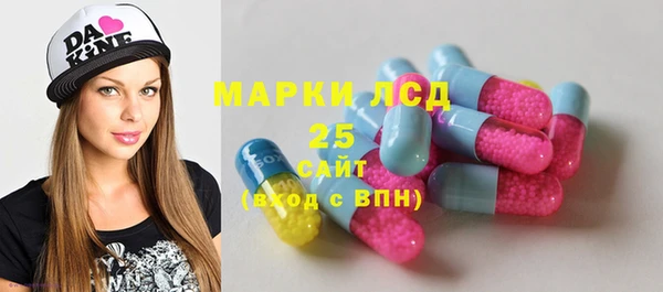 apvp Надым