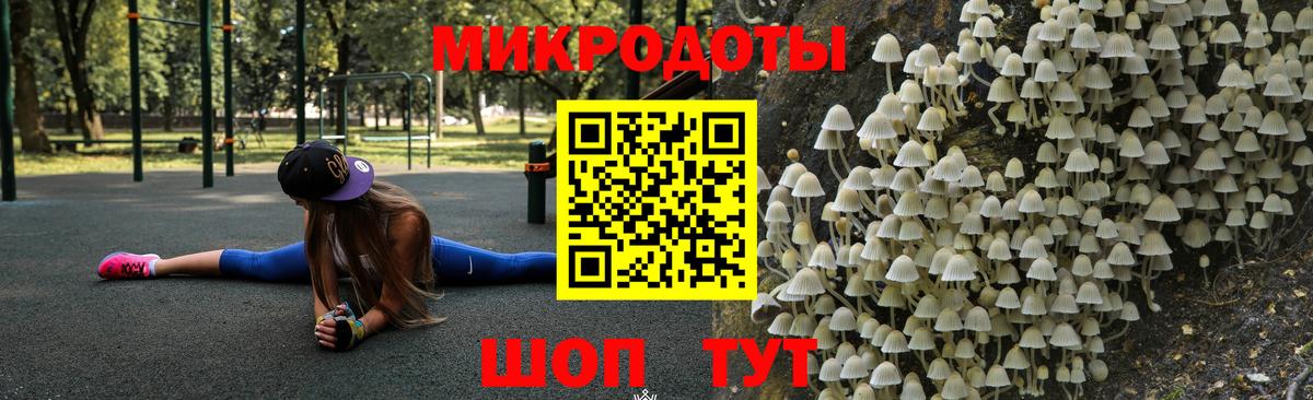 Галлюциногенные грибы GOLDEN TEACHER  Вход с VPN  Камышин 